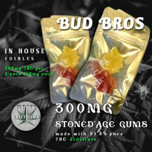 Bud Brothers Stoned Age Dino Gums (2-Pack) 300MG